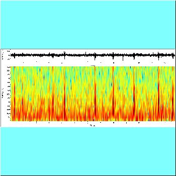 Serrasalmus maculatus_spectrogram.png